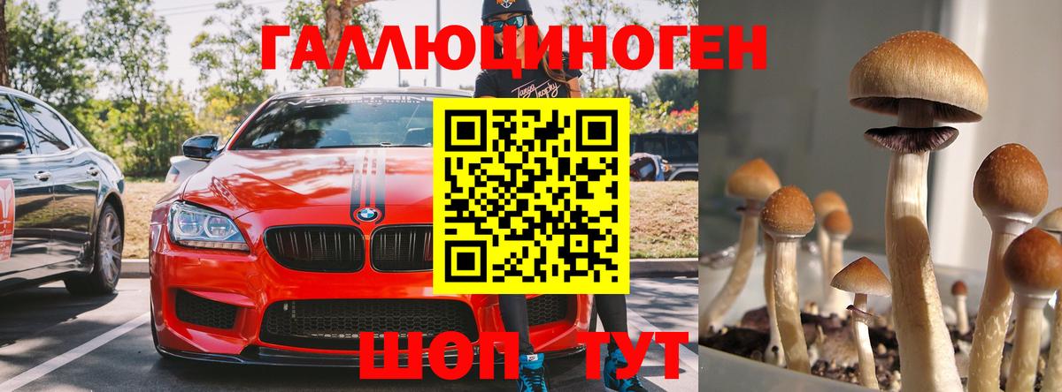 Кумертау  цена наркотик  Вход с VPN  Галлюциногенные грибы Psilocybe  Псилоцибиновые грибы прущие грибы 