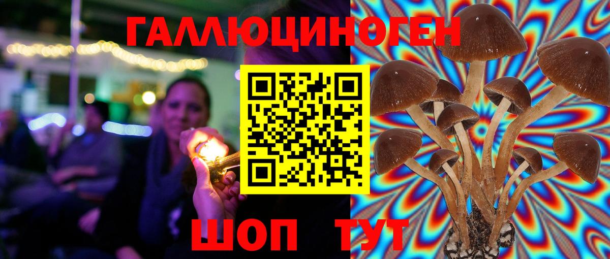 Галлюциногенные грибы Psilocybe Кумертау